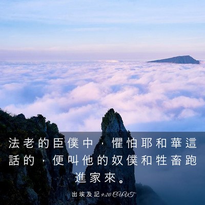 Picture 03 - 出 埃 及 記 9:20 CUVT - 法 老 的 臣 僕 中 ， 懼 怕 耶 和 華 - Bible Verse Picture