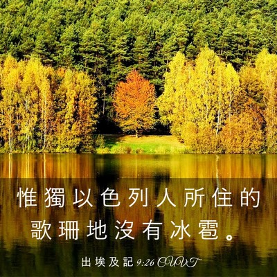 Picture 03 - 出 埃 及 記 9:26 CUVT - 惟 獨 以 色 列 人 所 住 的 歌 珊 地 - Bible Verse Picture
