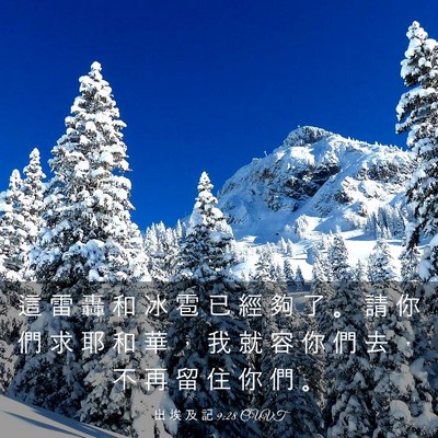 Picture 03 - 出 埃 及 記 9:28 CUVT - 這 雷 轟 和 冰 雹 已 經 夠 了 。 請 - Bible Verse Picture