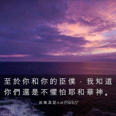 Picture 03 - 出 埃 及 記 9:30 CUVT - 至 於 你 和 你 的 臣 僕 ， 我 知 道 - Bible Verse Picture