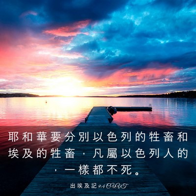 Picture 03 - 出 埃 及 記 9:4 CUVT - 耶 和 華 要 分 別 以 色 列 的 牲 畜 - Bible Verse Picture