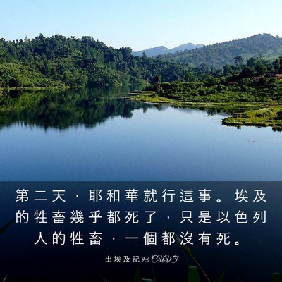 Picture 03 - 出 埃 及 記 9:6 CUVT - 第 二 天 ， 耶 和 華 就 行 這 事 。 - Bible Verse Picture