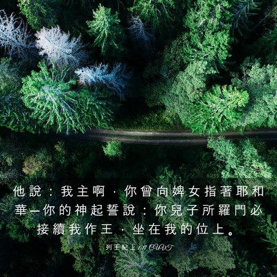 Picture 03 - 列 王 紀 上 1:17 CUVT - 他 說 ： 我 主 啊 ， 你 曾 向 婢 女 - Bible Verse Picture