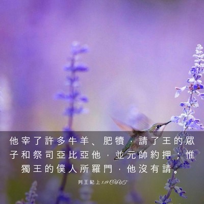 Picture 03 - 列 王 紀 上 1:19 CUVT - 他 宰 了 許 多 牛 羊 、 肥 犢 ， 請 - Bible Verse Picture