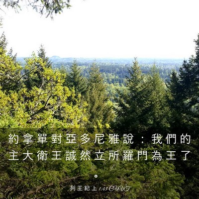 Picture 03 - 列 王 紀 上 1:43 CUVT - 約 拿 單 對 亞 多 尼 雅 說 ： 我 們 - Bible Verse Picture