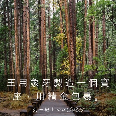 Picture 03 - 列 王 紀 上 10:18 CUVT - 王 用 象 牙 製 造 一 個 寶 座 ， 用 - Bible Verse Picture