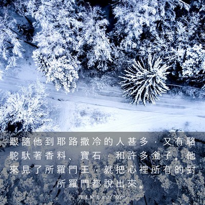 Picture 03 - 列 王 紀 上 10:2 CUVT - 跟 隨 他 到 耶 路 撒 冷 的 人 甚 多 - Bible Verse Picture