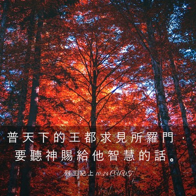 Picture 03 - 列 王 紀 上 10:24 CUVT - 普 天 下 的 王 都 求 見 所 羅 門 ， - Bible Verse Picture