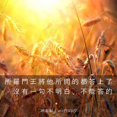 Picture 03 - 列 王 紀 上 10:3 CUVT - 所 羅 門 王 將 他 所 問 的 都 答 上 - Bible Verse Picture
