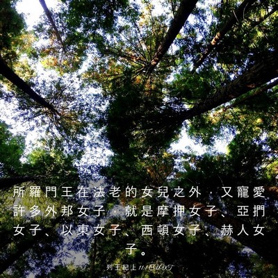 Picture 03 - 列 王 紀 上 11:1 CUVT - 所 羅 門 王 在 法 老 的 女 兒 之 外 - Bible Verse Picture