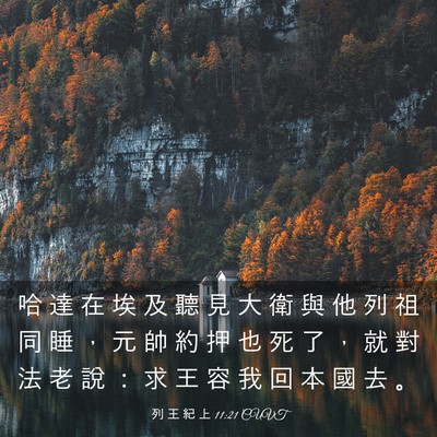 Picture 03 - 列 王 紀 上 11:21 CUVT - 哈 達 在 埃 及 聽 見 大 衛 與 他 列 - Bible Verse Picture