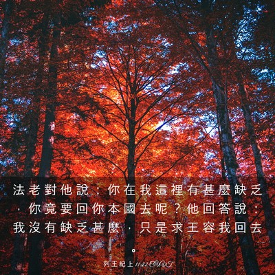 Picture 03 - 列 王 紀 上 11:22 CUVT - 法 老 對 他 說 ： 你 在 我 這 裡 有 - Bible Verse Picture