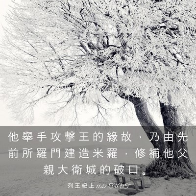 Picture 03 - 列 王 紀 上 11:27 CUVT - 他 舉 手 攻 擊 王 的 緣 故 ， 乃 由 - Bible Verse Picture