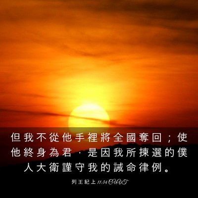 Picture 03 - 列 王 紀 上 11:34 CUVT - 但 我 不 從 他 手 裡 將 全 國 奪 回 - Bible Verse Picture