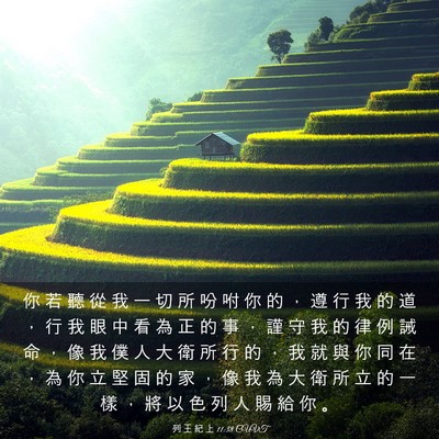 Picture 03 - 列 王 紀 上 11:38 CUVT - 你 若 聽 從 我 一 切 所 吩 咐 你 的 - Bible Verse Picture