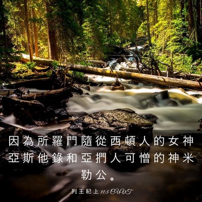 Picture 03 - 列 王 紀 上 11:5 CUVT - 因 為 所 羅 門 隨 從 西 頓 人 的 女 - Bible Verse Picture