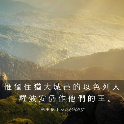 Picture 03 - 列 王 紀 上 12:17 CUVT - 惟 獨 住 猶 大 城 邑 的 以 色 列 人 - Bible Verse Picture
