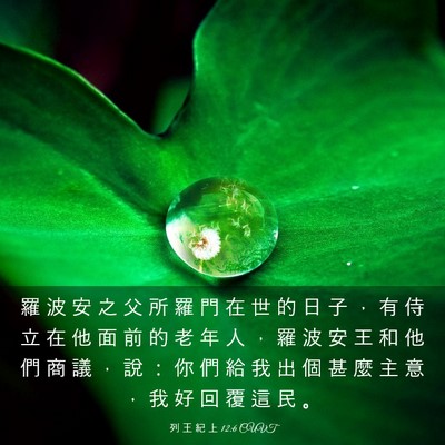 Picture 03 - 列 王 紀 上 12:6 CUVT - 羅 波 安 之 父 所 羅 門 在 世 的 日 - Bible Verse Picture