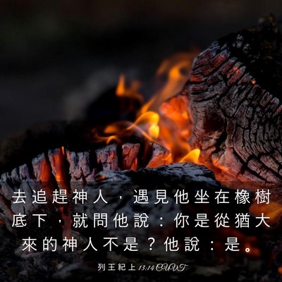 Picture 03 - 列 王 紀 上 13:14 CUVT - 去 追 趕 神 人 ， 遇 見 他 坐 在 橡 - Bible Verse Picture