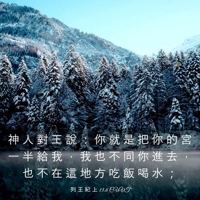 Picture 03 - 列 王 紀 上 13:8 CUVT - 神 人 對 王 說 ： 你 就 是 把 你 的 - Bible Verse Picture