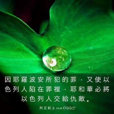Picture 03 - 列 王 紀 上 14:16 CUVT - 因 耶 羅 波 安 所 犯 的 罪 ， 又 使 - Bible Verse Picture