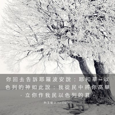 Picture 03 - 列 王 紀 上 14:7 CUVT - 你 回 去 告 訴 耶 羅 波 安 說 ： 耶 - Bible Verse Picture