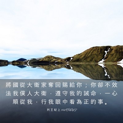 Picture 03 - 列 王 紀 上 14:8 CUVT - 將 國 從 大 衛 家 奪 回 賜 給 你 ； - Bible Verse Picture