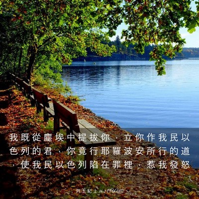 Picture 03 - 列 王 紀 上 16:2 CUVT - 我 既 從 塵 埃 中 提 拔 你 ， 立 你 - Bible Verse Picture