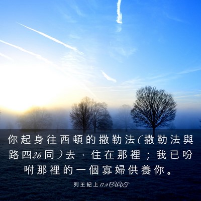 Picture 03 - 列 王 紀 上 17:9 CUVT - 你 起 身 往 西 頓 的 撒 勒 法 ( 撒 勒 - Bible Verse Picture