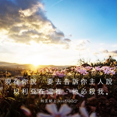 Picture 03 - 列 王 紀 上 18:14 CUVT - 現 在 你 說 ， 要 去 告 訴 你 主 人 - Bible Verse Picture