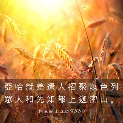 Picture 03 - 列 王 紀 上 18:20 CUVT - 亞 哈 就 差 遣 人 招 聚 以 色 列 眾 - Bible Verse Picture