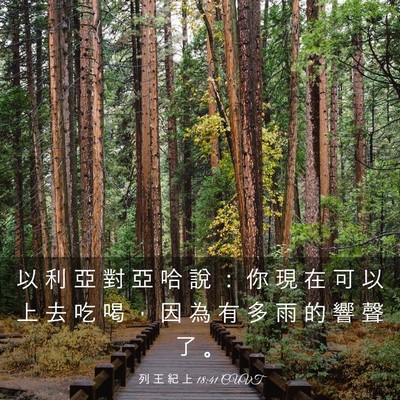 Picture 03 - 列 王 紀 上 18:41 CUVT - 以 利 亞 對 亞 哈 說 ： 你 現 在 可 - Bible Verse Picture