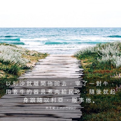 Picture 03 - 列 王 紀 上 19:21 CUVT - 以 利 沙 就 離 開 他 回 去 ， 宰 了 - Bible Verse Picture