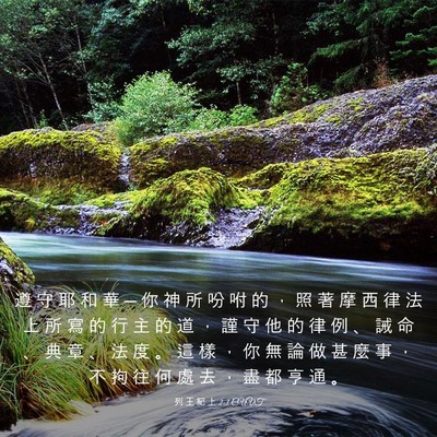 Picture 03 - 列 王 紀 上 2:3 CUVT - 遵 守 耶 和 華 ─ 你 神 所 吩 咐 的 - Bible Verse Picture
