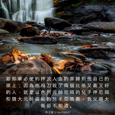 Picture 03 - 列 王 紀 上 2:32 CUVT - 耶 和 華 必 使 約 押 流 人 血 的 罪 - Bible Verse Picture