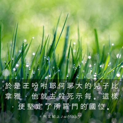 Picture 03 - 列 王 紀 上 2:46 CUVT - 於 是 王 吩 咐 耶 何 耶 大 的 兒 子 - Bible Verse Picture