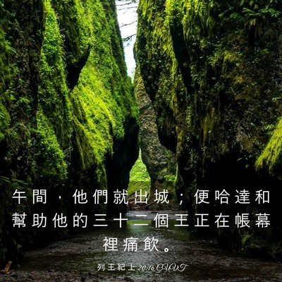 Picture 03 - 列 王 紀 上 20:16 CUVT - 午 間 ， 他 們 就 出 城 ； 便 哈 達 - Bible Verse Picture