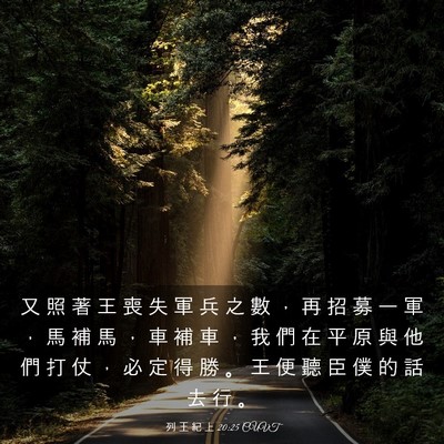 Picture 03 - 列 王 紀 上 20:25 CUVT - 又 照 著 王 喪 失 軍 兵 之 數 ， 再 - Bible Verse Picture