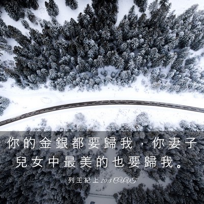 Picture 03 - 列 王 紀 上 20:3 CUVT - 你 的 金 銀 都 要 歸 我 ， 你 妻 子 - Bible Verse Picture