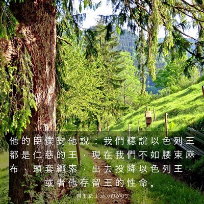 Picture 03 - 列 王 紀 上 20:31 CUVT - 他 的 臣 僕 對 他 說 ： 我 們 聽 說 - Bible Verse Picture