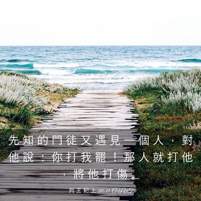 Picture 03 - 列 王 紀 上 20:37 CUVT - 先 知 的 門 徒 又 遇 見 一 個 人 ， - Bible Verse Picture