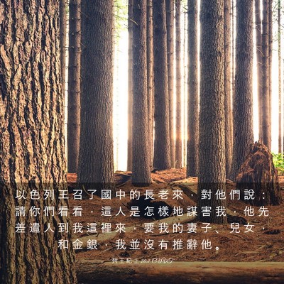 Picture 03 - 列 王 紀 上 20:7 CUVT - 以 色 列 王 召 了 國 中 的 長 老 來 - Bible Verse Picture