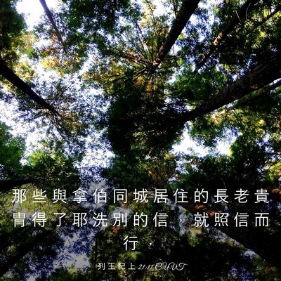 Picture 03 - 列 王 紀 上 21:11 CUVT - 那 些 與 拿 伯 同 城 居 住 的 長 老 - Bible Verse Picture