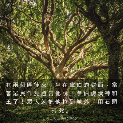 Picture 03 - 列 王 紀 上 21:13 CUVT - 有 兩 個 匪 徒 來 ， 坐 在 拿 伯 的 - Bible Verse Picture