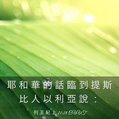 Picture 03 - 列 王 紀 上 21:28 CUVT - 耶 和 華 的 話 臨 到 提 斯 比 人 以 - Bible Verse Picture