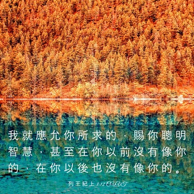 Picture 03 - 列 王 紀 上 3:12 CUVT - 我 就 應 允 你 所 求 的 ， 賜 你 聰 - Bible Verse Picture