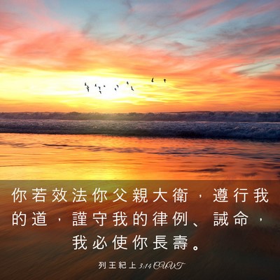 Picture 03 - 列 王 紀 上 3:14 CUVT - 你 若 效 法 你 父 親 大 衛 ， 遵 行 - Bible Verse Picture