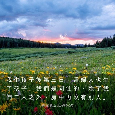 Picture 03 - 列 王 紀 上 3:18 CUVT - 我 生 孩 子 後 第 三 日 ， 這 婦 人 - Bible Verse Picture