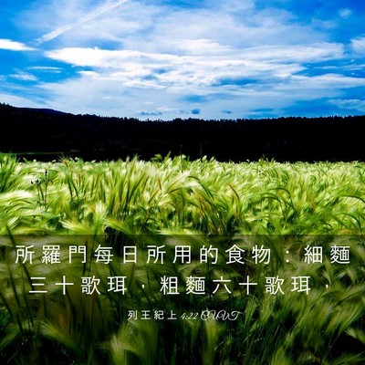Picture 03 - 列 王 紀 上 4:22 CUVT - 所 羅 門 每 日 所 用 的 食 物 ： 細 - Bible Verse Picture