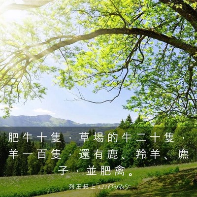Picture 03 - 列 王 紀 上 4:23 CUVT - 肥 牛 十 隻 ， 草 場 的 牛 二 十 隻 - Bible Verse Picture